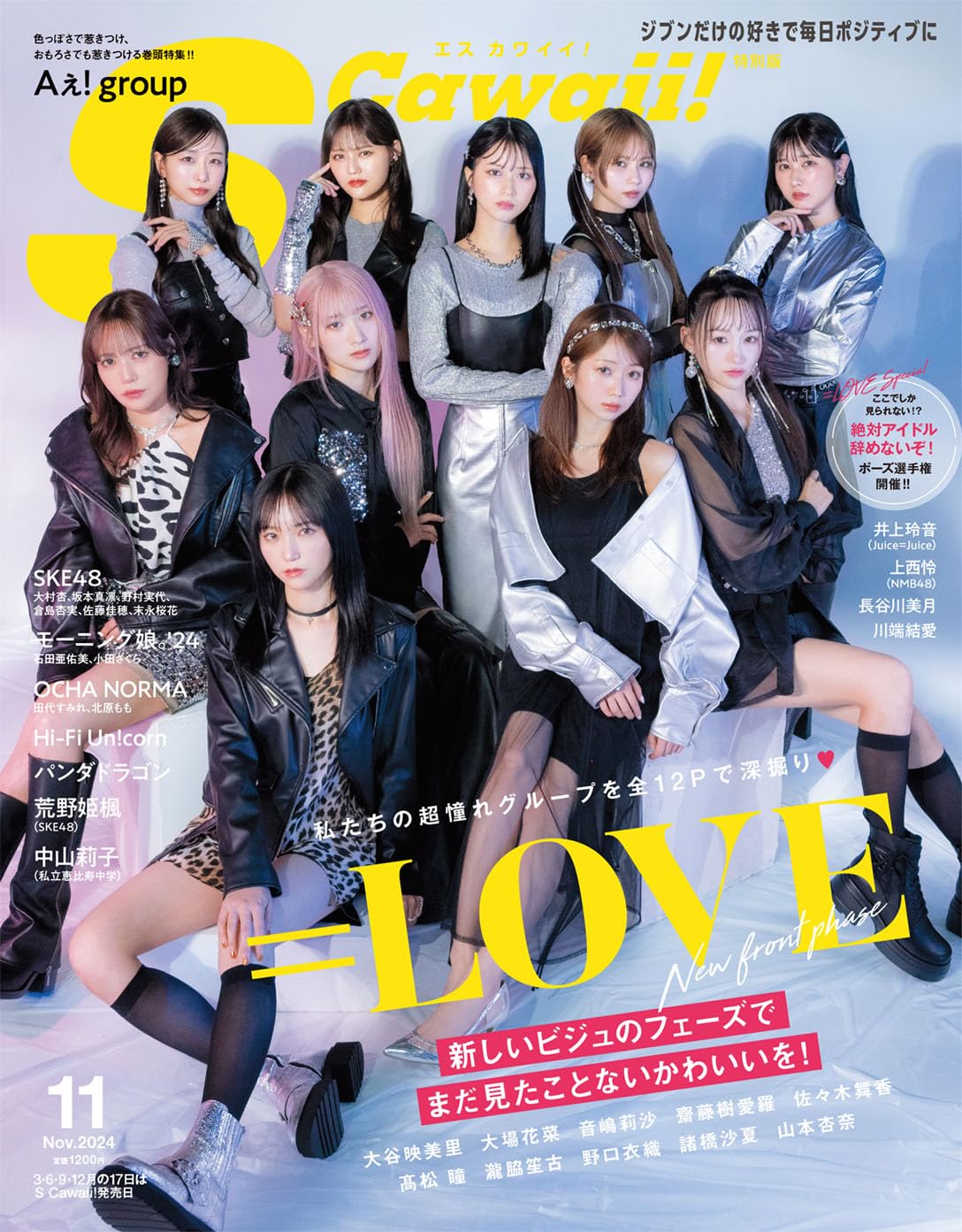 SCawaii 2024年11月号